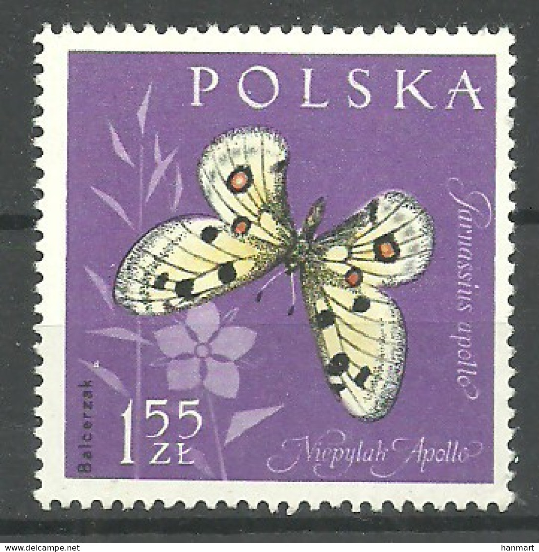 Poland 1961 Mi 1286 MNH  (LZE4 PLD1286) - Papillons