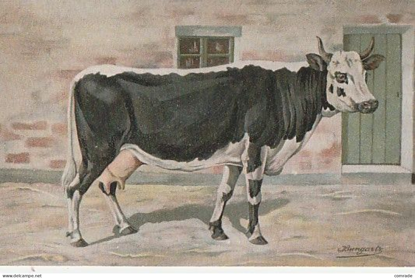 Cow.  Kuh . Publisher: Russian E.V. BAGGOVUT Kegel. - Vacas