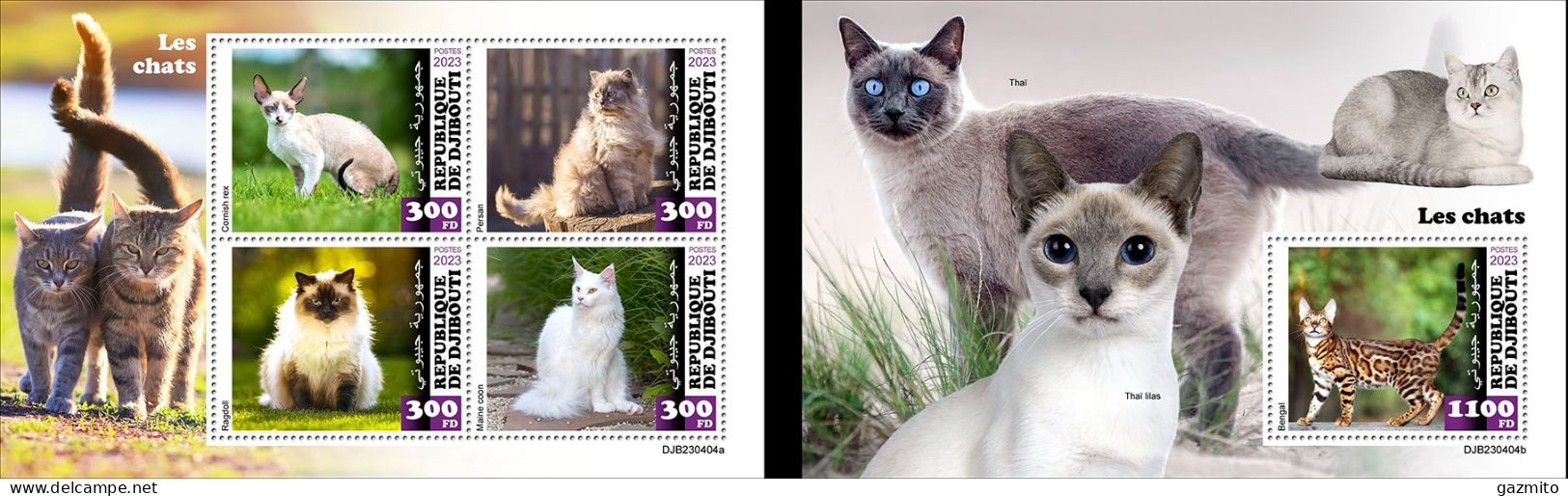 Djibouti 2023, Animals, Cats, 4val In BF +BF - Gatti