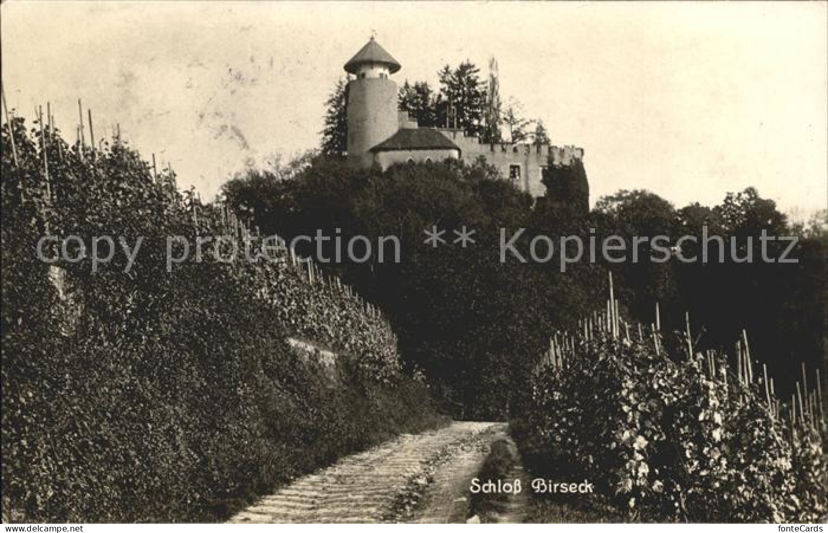 12043479 Arlesheim Schloss Birseck Arlesheim - Otros & Sin Clasificación