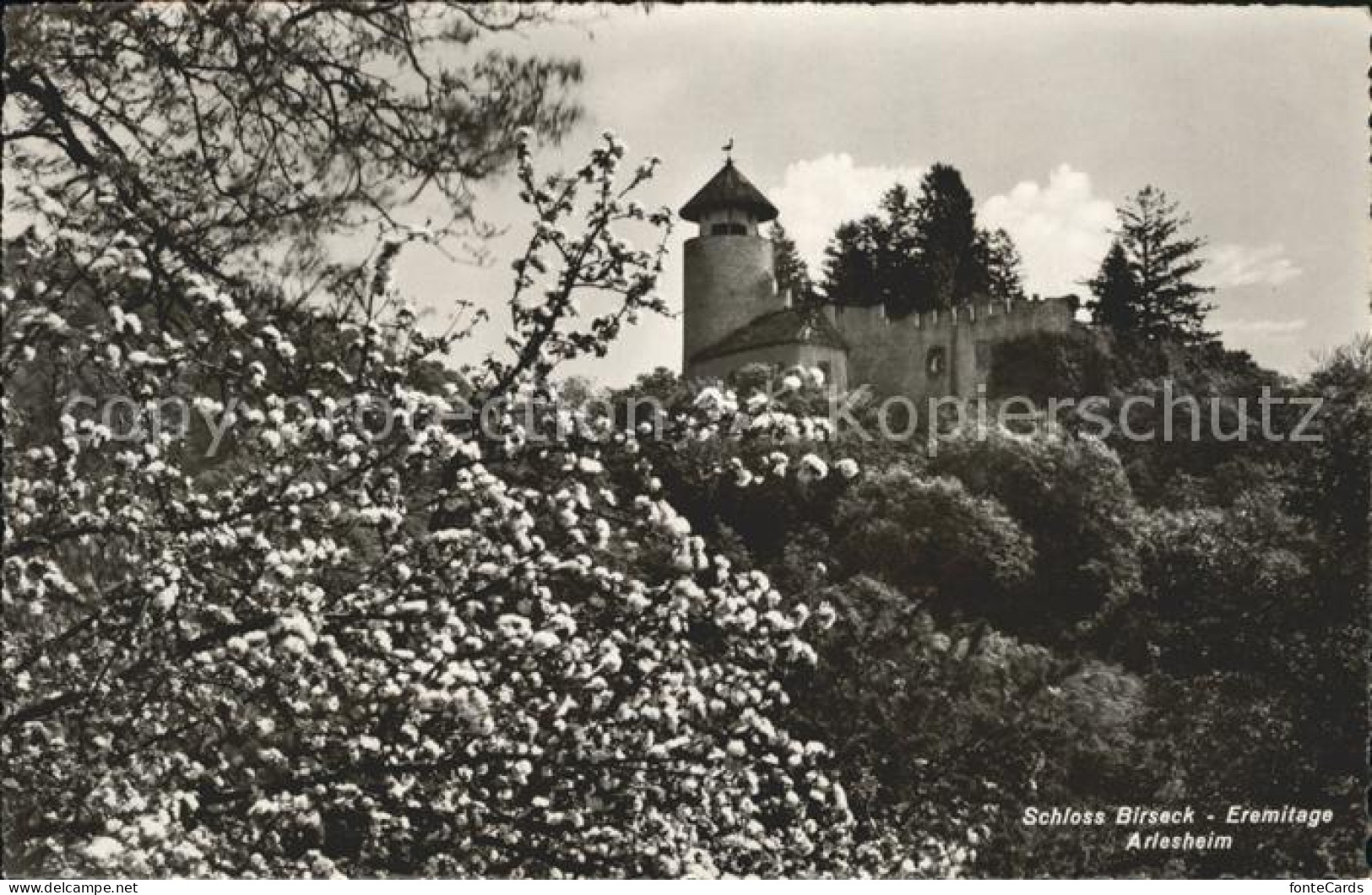 12043469 Arlesheim Schloss Birseck Eremitage Baumbluete Arlesheim - Sonstige & Ohne Zuordnung