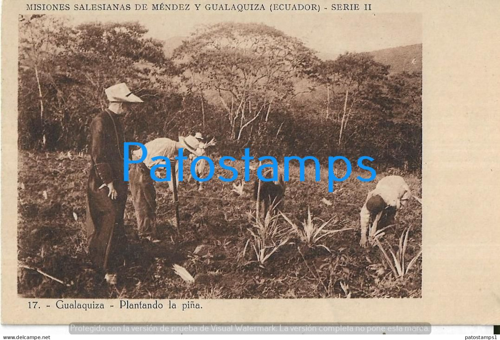 229077 EQUATOR MISIONES SALESIANAS DE MENDEZ Y GUALAQUIZA COSTUMES PLANTANDO LA PIÑA POSTAL POSTCARD - Equateur