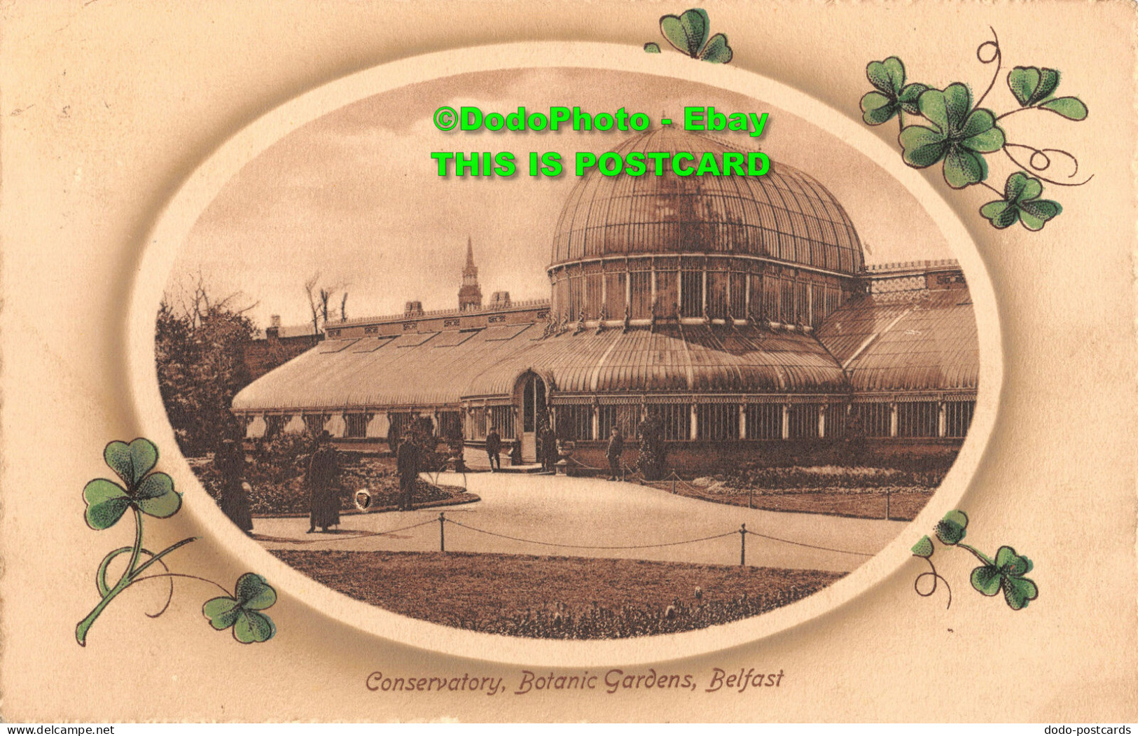 R353875 Belfast. Conservatory. Botanic Gardens. Valentine. No. 45. 604 - World