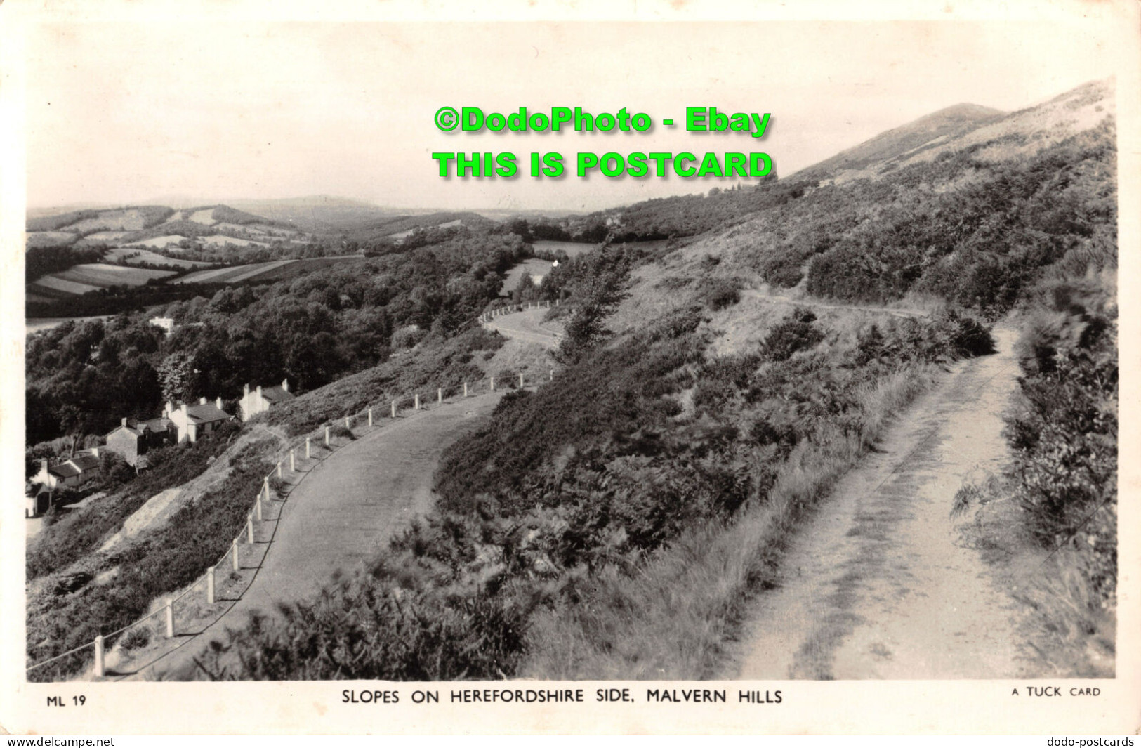 R353878 Malvern Hills. Slopes On Herefordshire Side. Tuck. RP - World