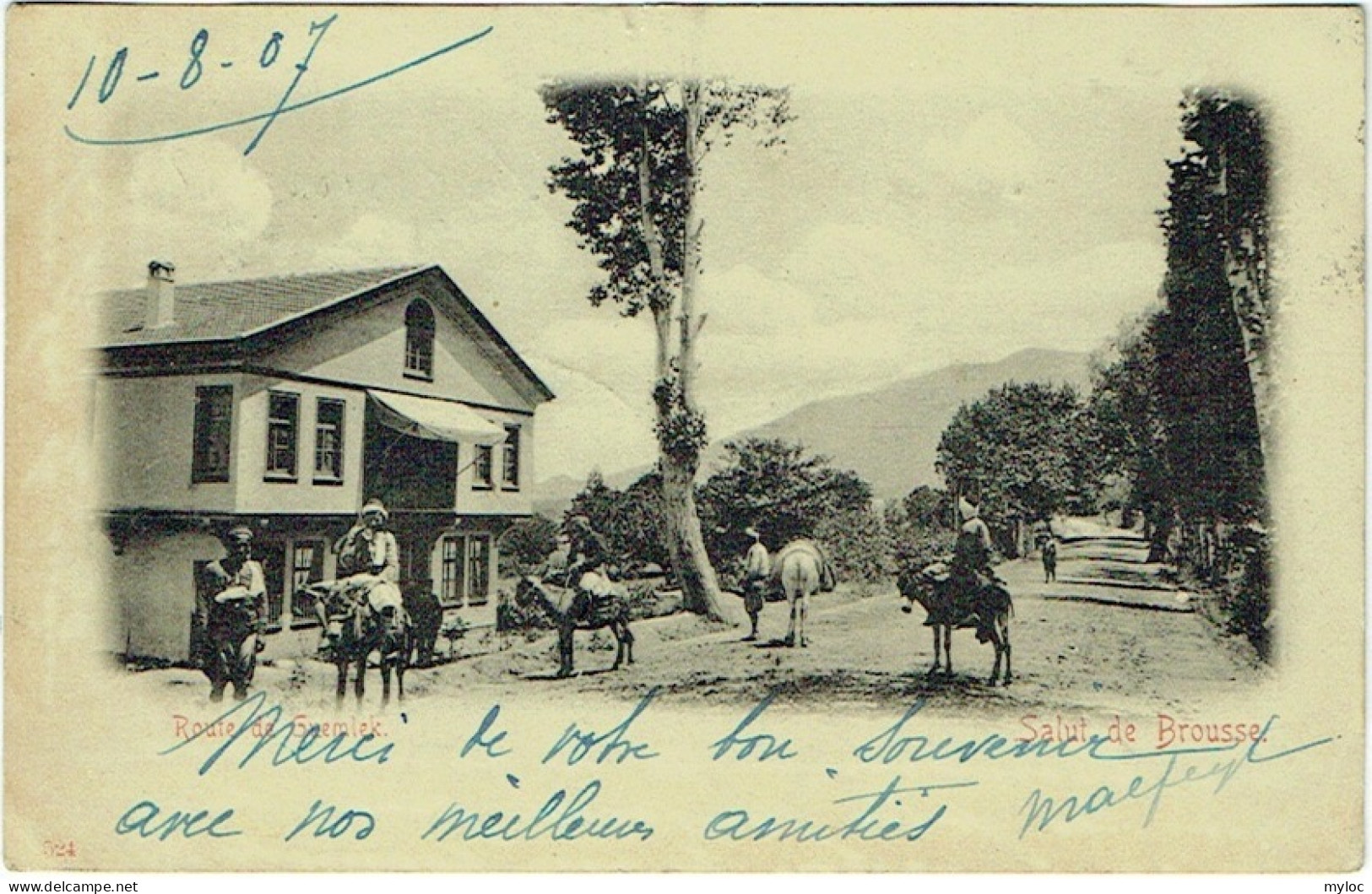 Turquie. Salut De Brousse. Route De Guemlek. - Turkey