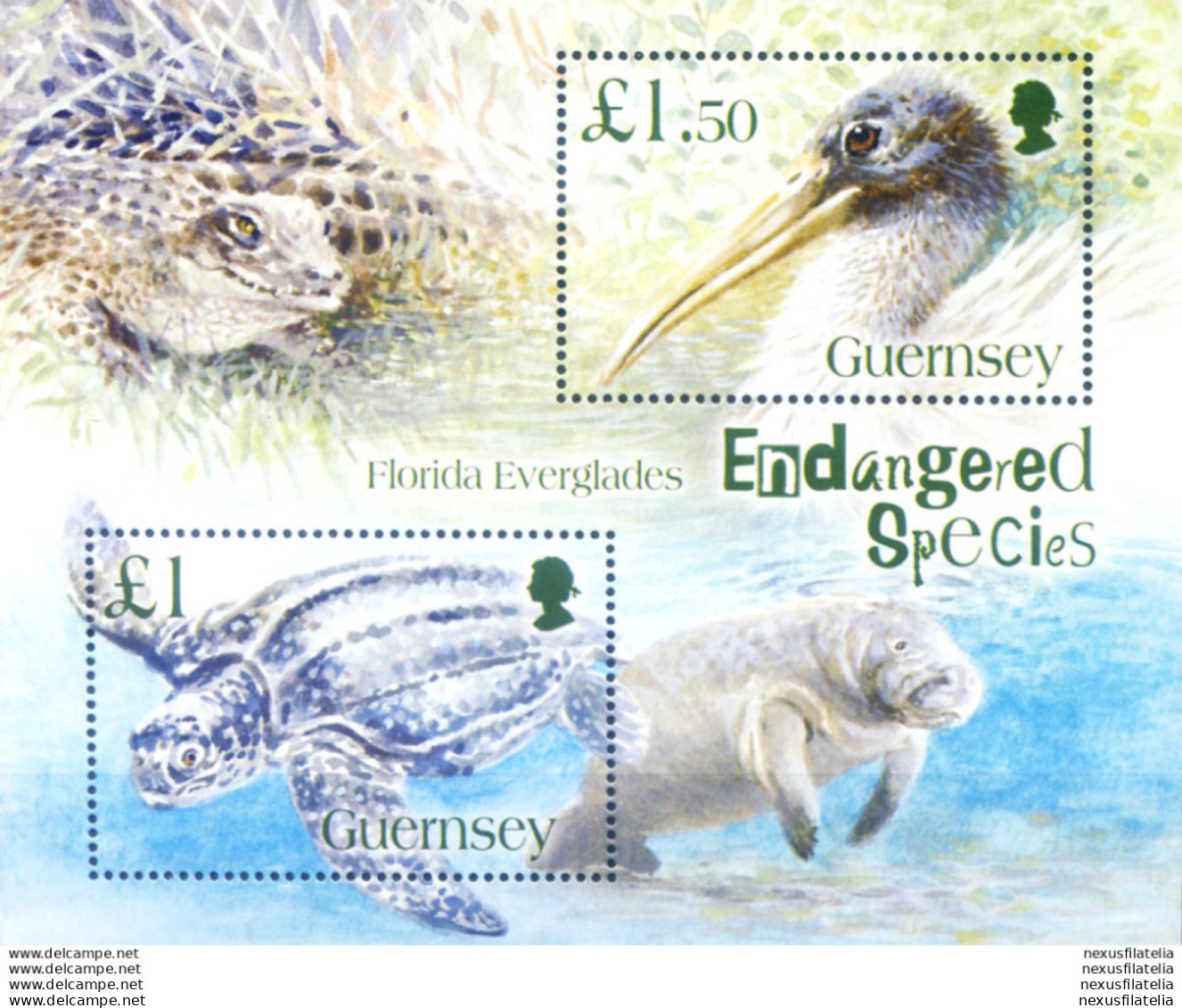 Fauna In Pericolo 2006. Specie Delle Everglades. - Guernsey
