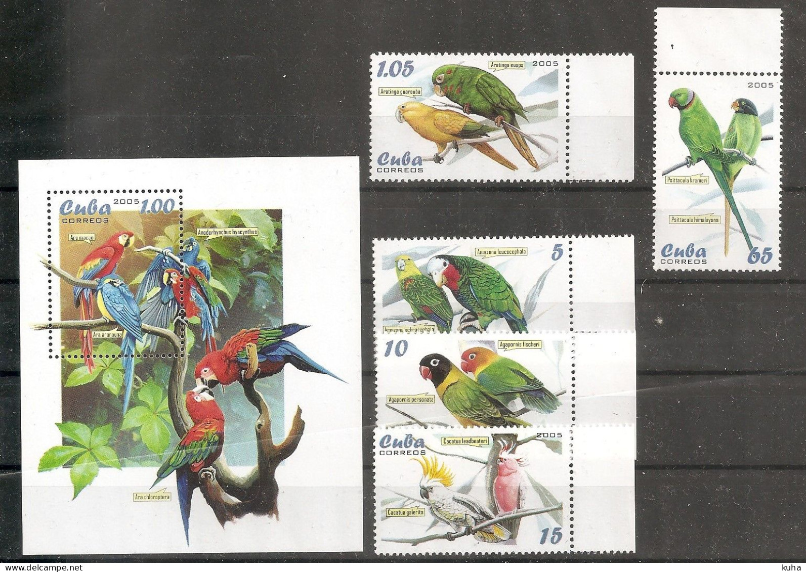 Cuba Bird  MNH - Perroquets & Tropicaux