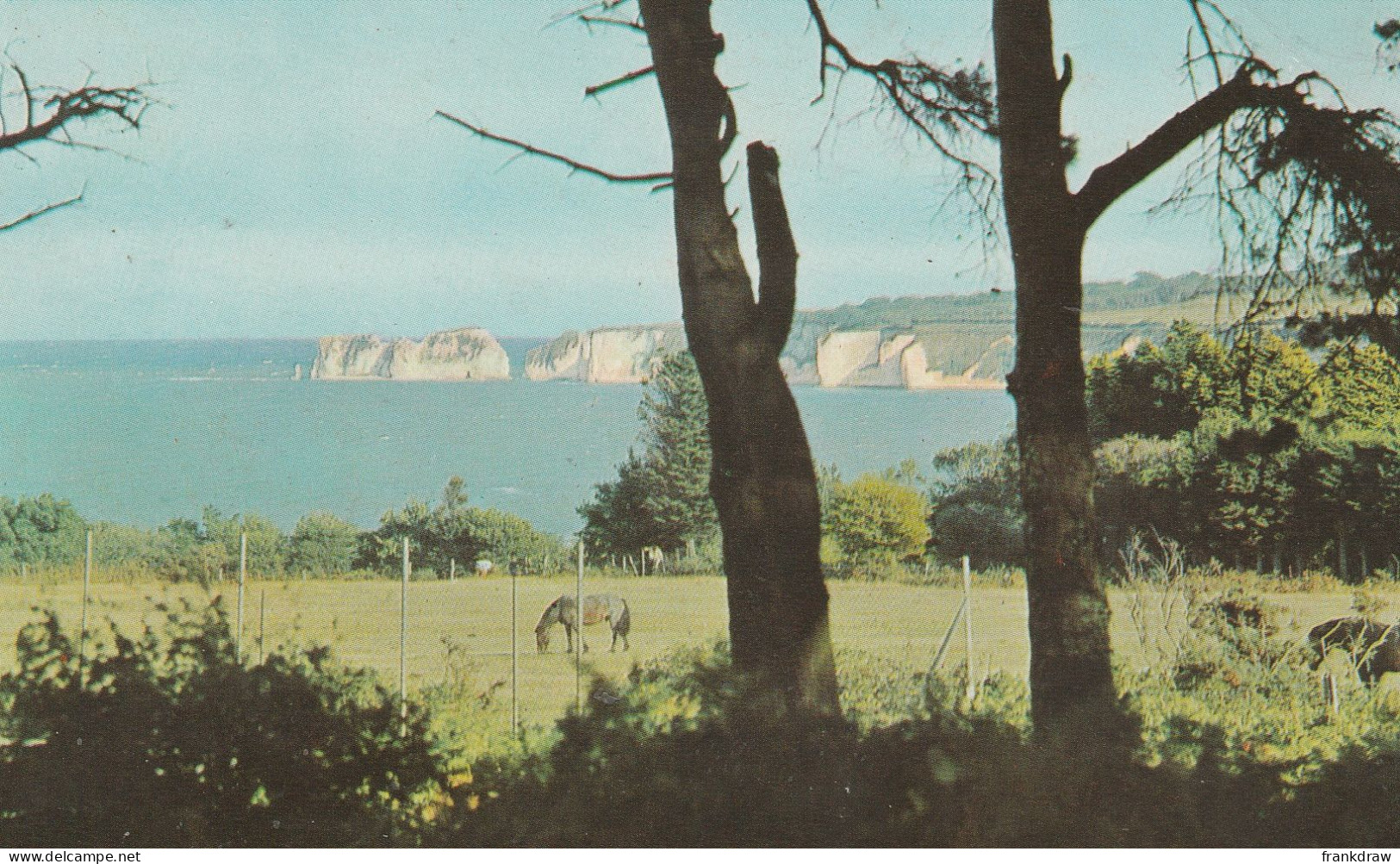 Postcard - Studland Bay. Nr. Swanage - Card No.pt218/7 - Very Good - Zonder Classificatie