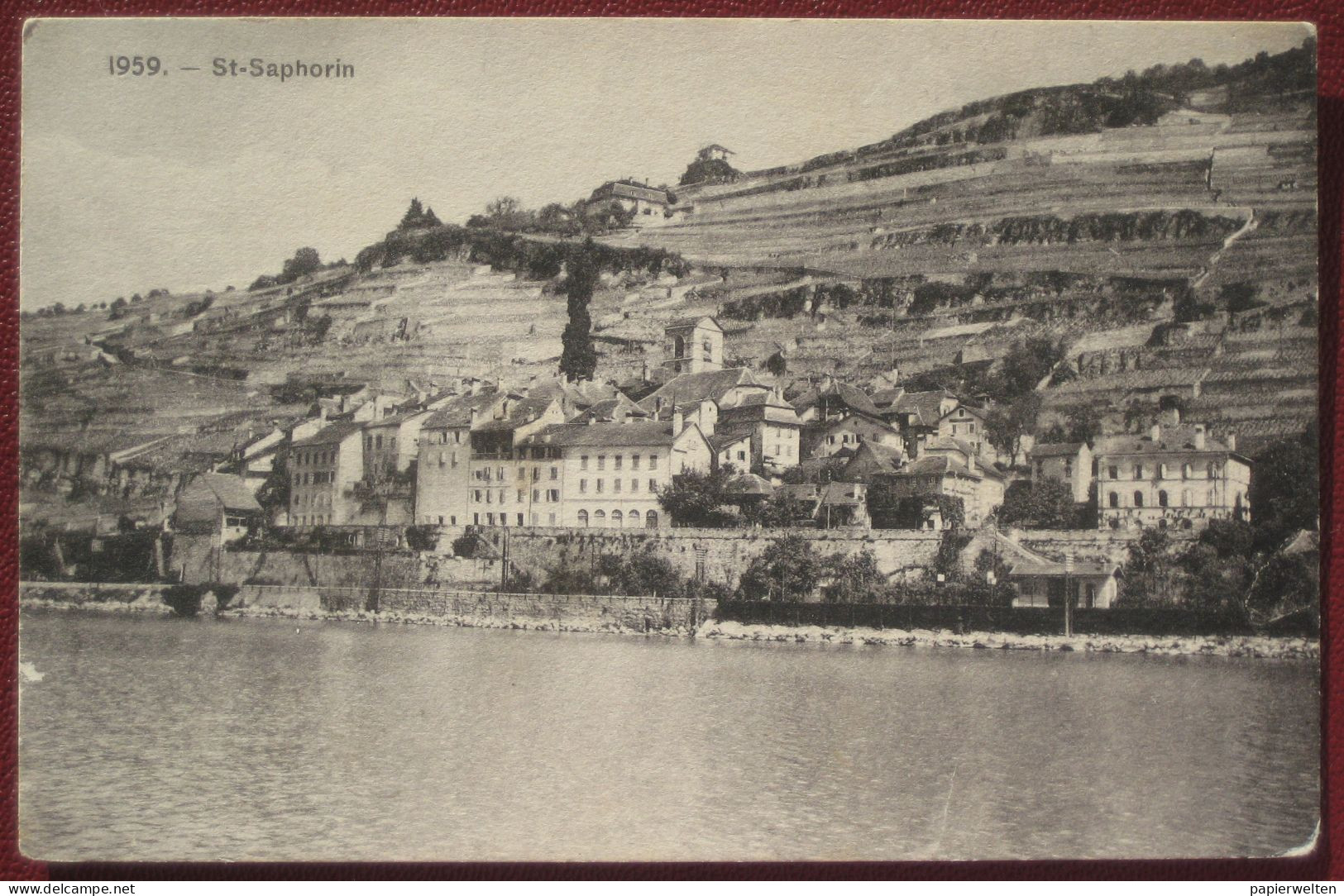 Saint-Saphorin (VD) - Panorama - Saint-Saphorin
