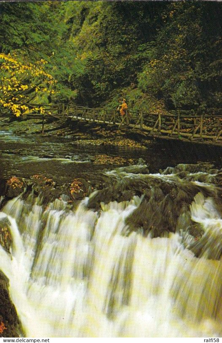 1 AK USA / Pennsylvania * Bushkill Falls In Den Pocono Mountains, Werden Auch "Niagara Of Pennsylvania" Genannt * - Andere & Zonder Classificatie