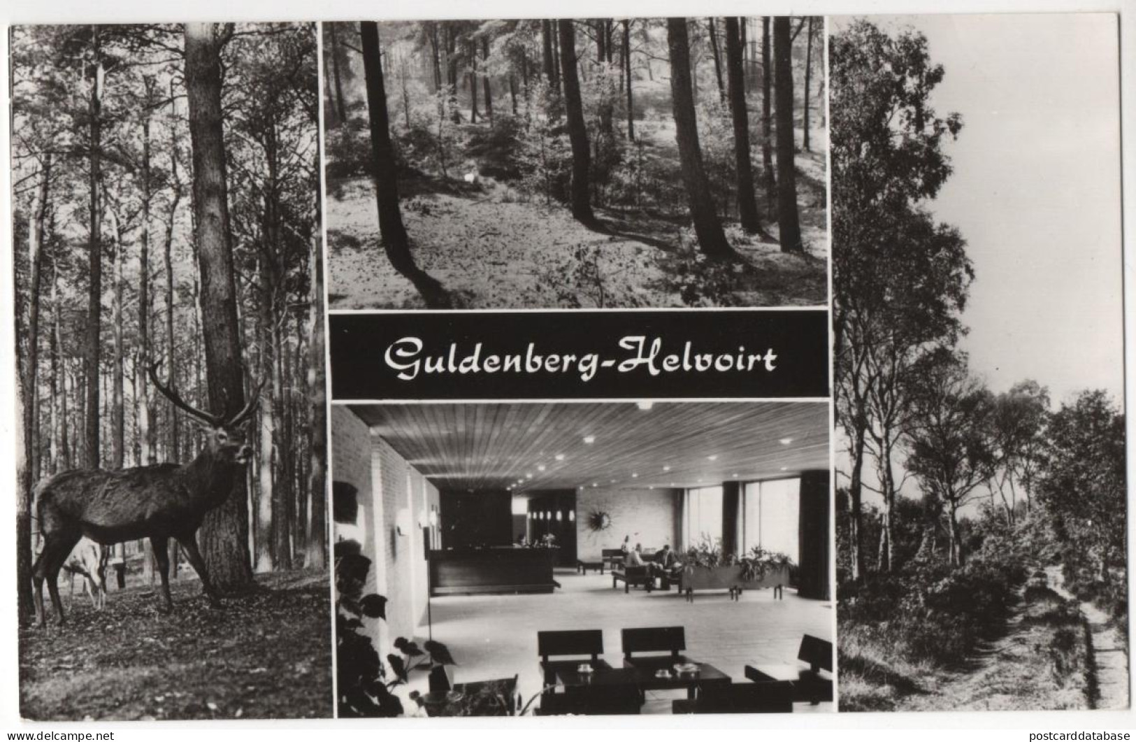 Guldenberg - Helvoirt - Autres & Non Classés