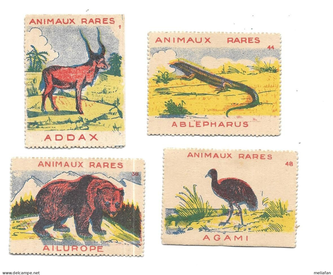 KB2085 - VIGNETTES CARTONNEES - ANIMAUX RARES - ADDAX - AILUROPE  - ABLEPHARUS - AGAMI - Other & Unclassified