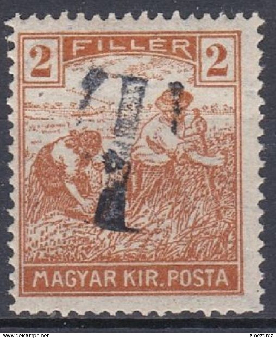 Hongrie Taxe 1919    Moissonneurs Surcharge T (A9) - Port Dû (Taxe)