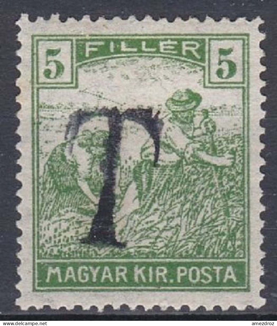 Hongrie Taxe 1919    Moissonneurs Surcharge T (A9) - Postage Due