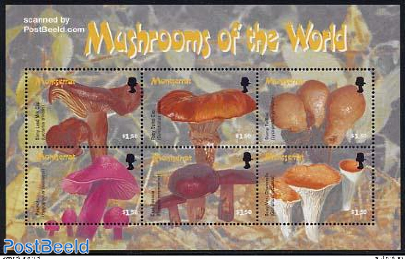 Montserrat 2003 Mushrooms 6v M/s, Mint NH, Nature - Mushrooms - Mushrooms