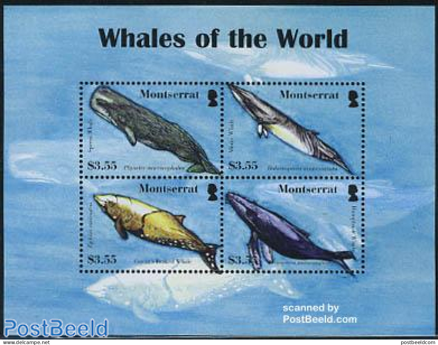 Montserrat 2008 Whales Of The World 4v M/s, Mint NH, Nature - Sea Mammals - Autres & Non Classés