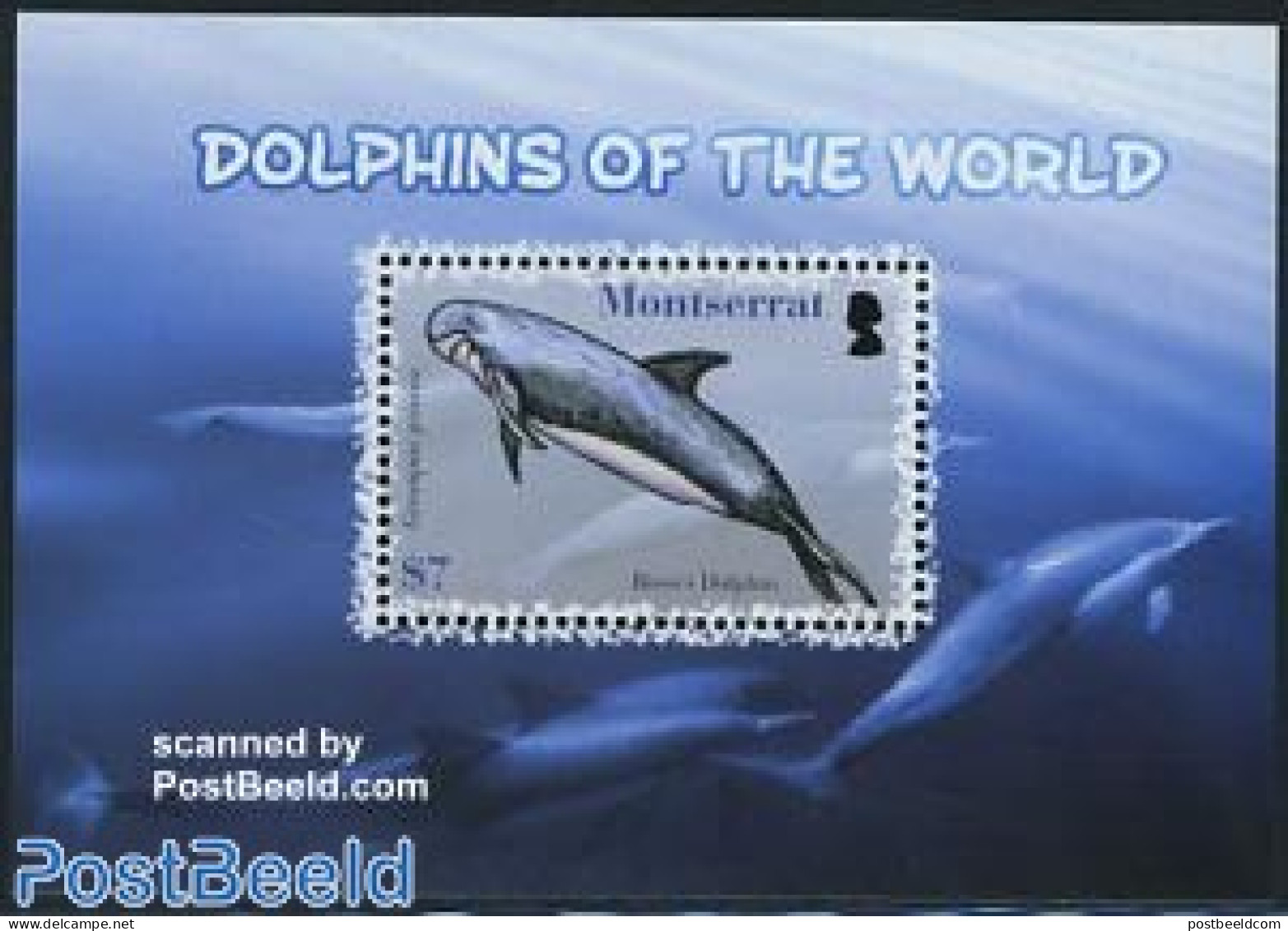 Montserrat 2008 Dolphins S/s, Mint NH, Nature - Sea Mammals - Sonstige & Ohne Zuordnung