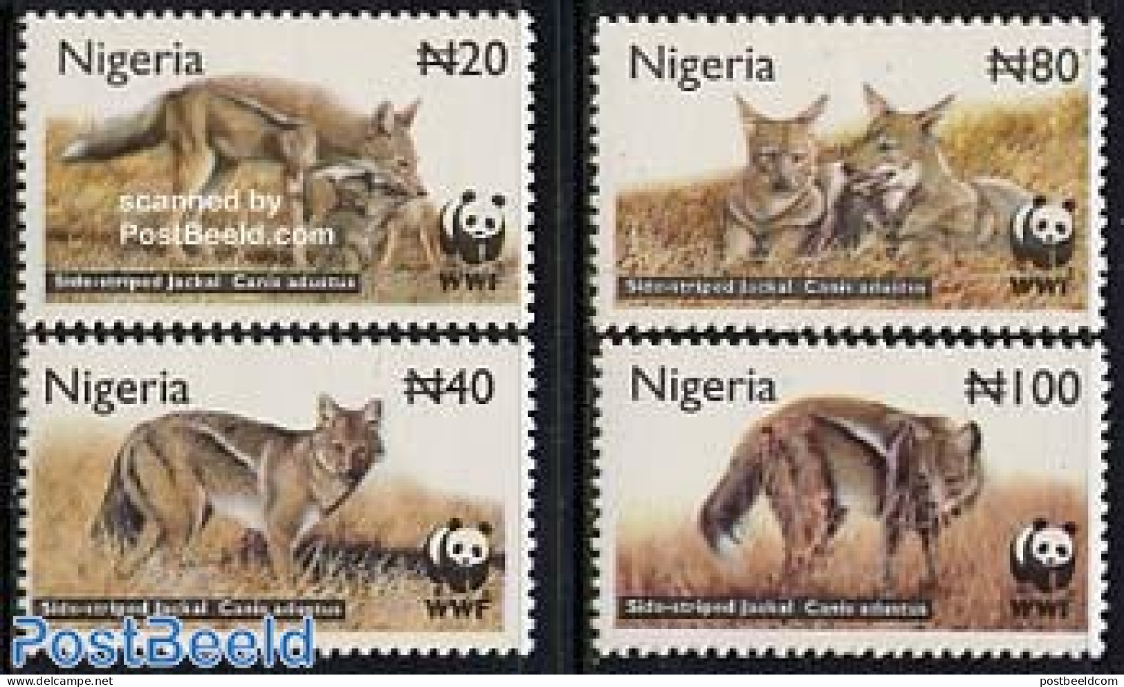 Nigeria 2003 WWF 4v, Side Striped Jackal, Mint NH, Nature - Animals (others & Mixed) - World Wildlife Fund (WWF) - Altri & Non Classificati