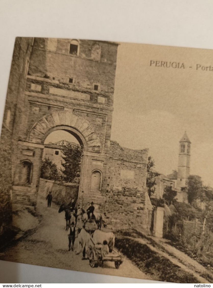 Fp Perugia Porta S. Girolamo Animata - Perugia