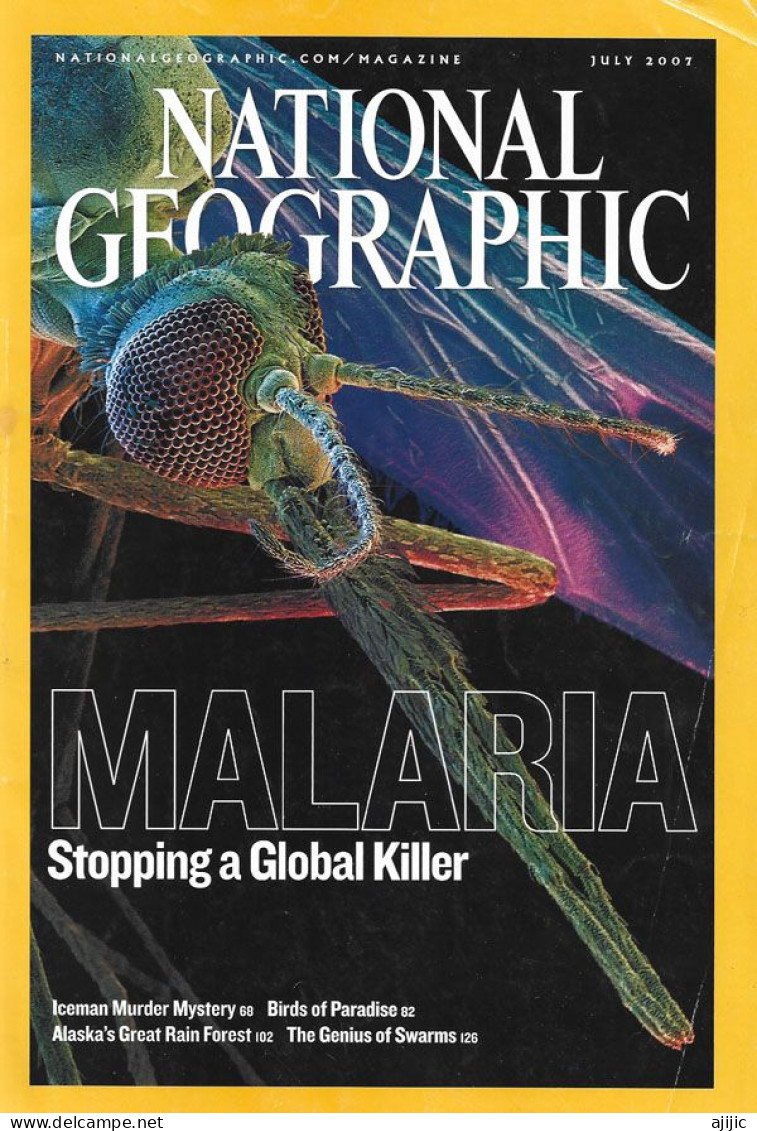 MALARIA, STOPPING A GLOBAL KILLER !  National Geographic - Other & Unclassified