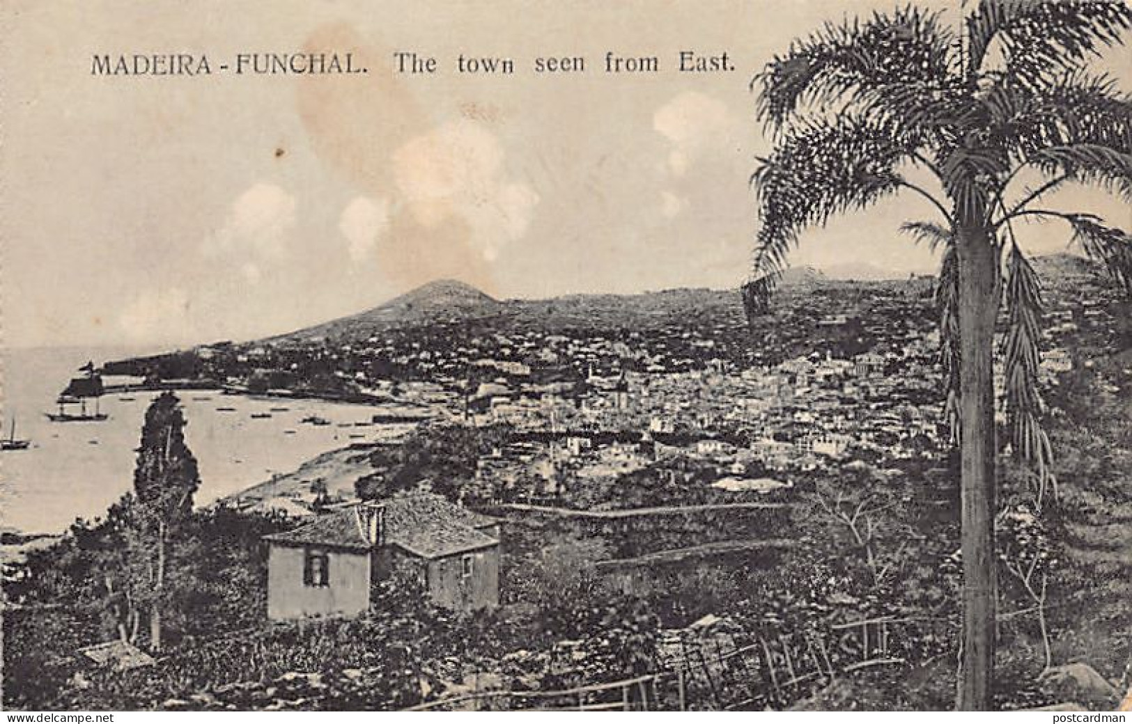 Madeira - FUNCHAL - The Town Seen From East - Madeira