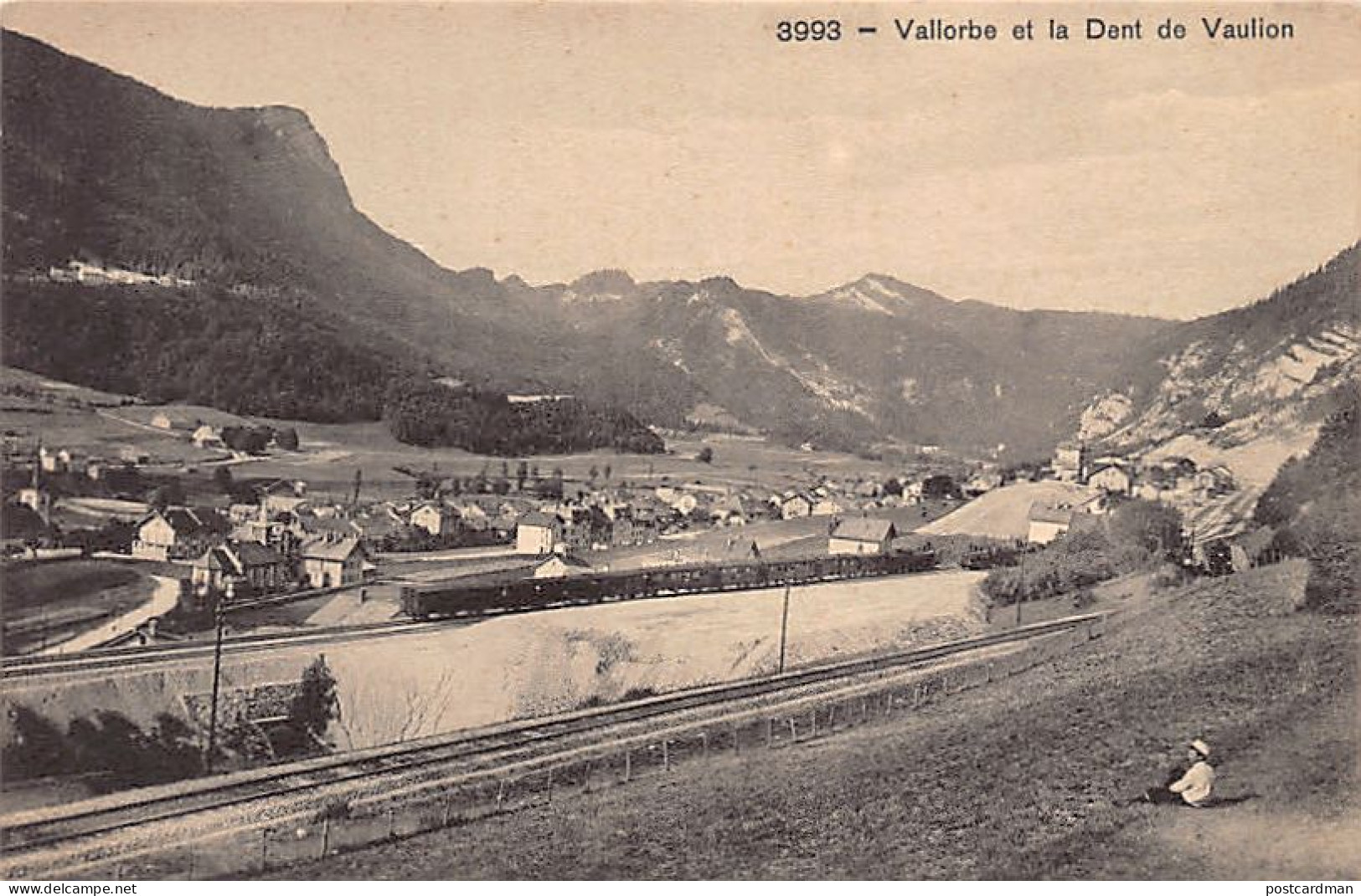 VALLORBE (VD) Vue Générale - Dent Du Vaulion - Chemin De Fer - Ed. Phototypie Co 3993 - Vallorbe