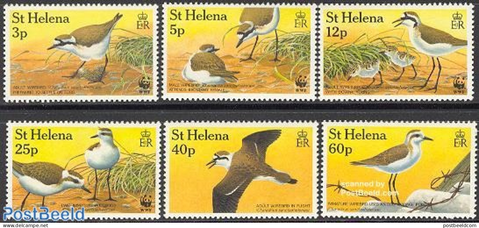 Saint Helena 1993 WWF/Wirebird 6v, Mint NH, Nature - Birds - World Wildlife Fund (WWF) - Sainte-Hélène