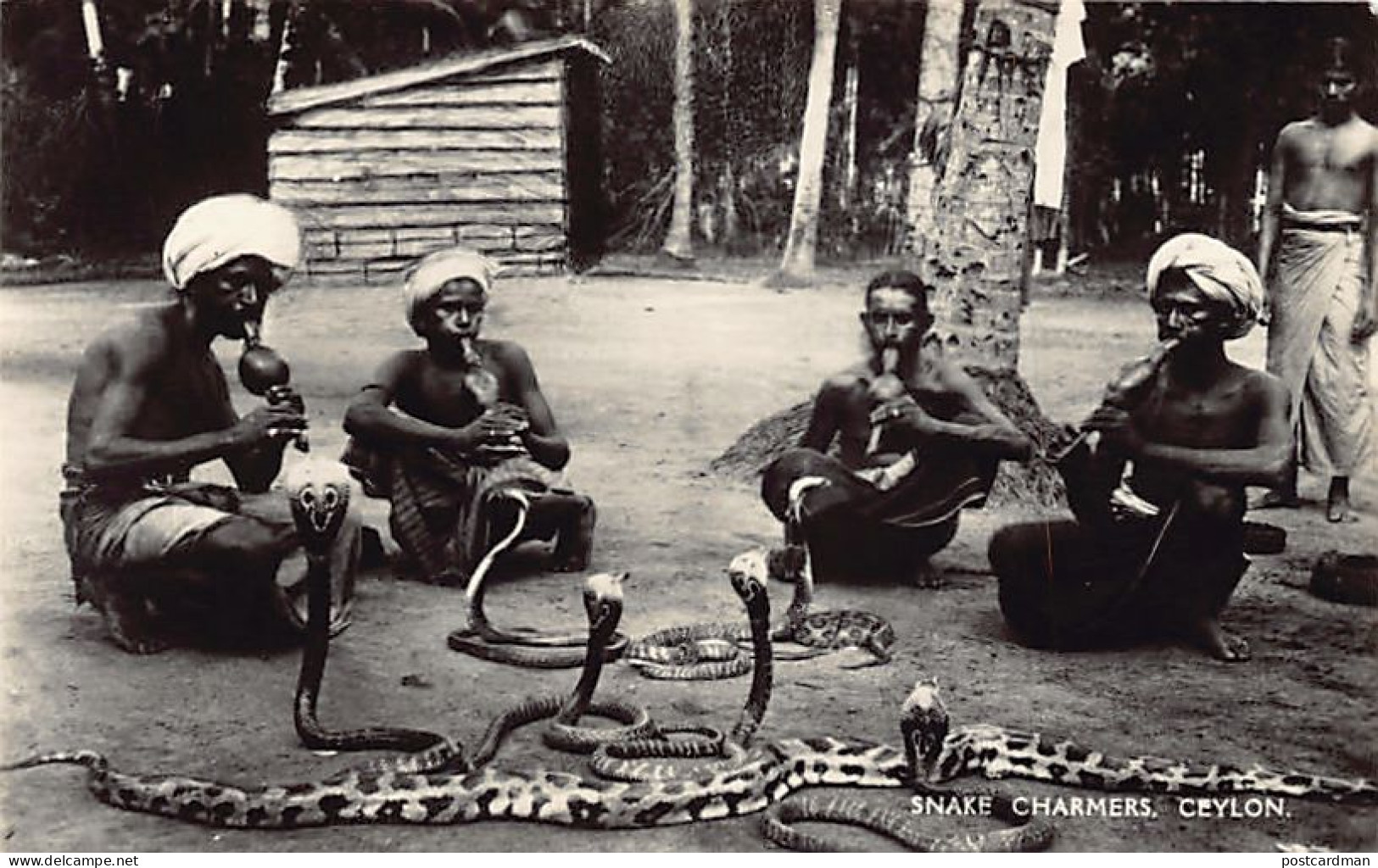 SRI LANKA - Snake Charmers - Publ. Plâté Ltd. 15 - Sri Lanka (Ceilán)