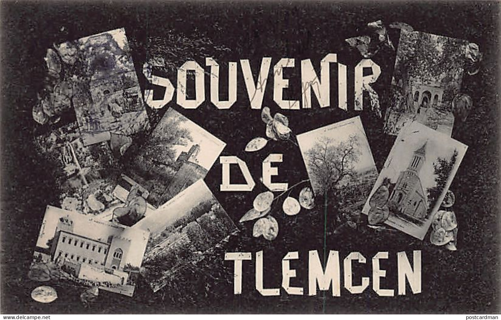 Algérie - TLEMCEN - Souvenir De... - Ed. Collection Idéale P.S.  - Tlemcen