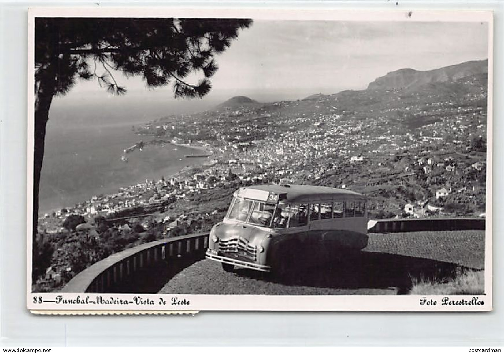 Madeira - FUNCHAL - Vista De Leste - Ônibus - Ed. Perestrellos 88 - Madeira