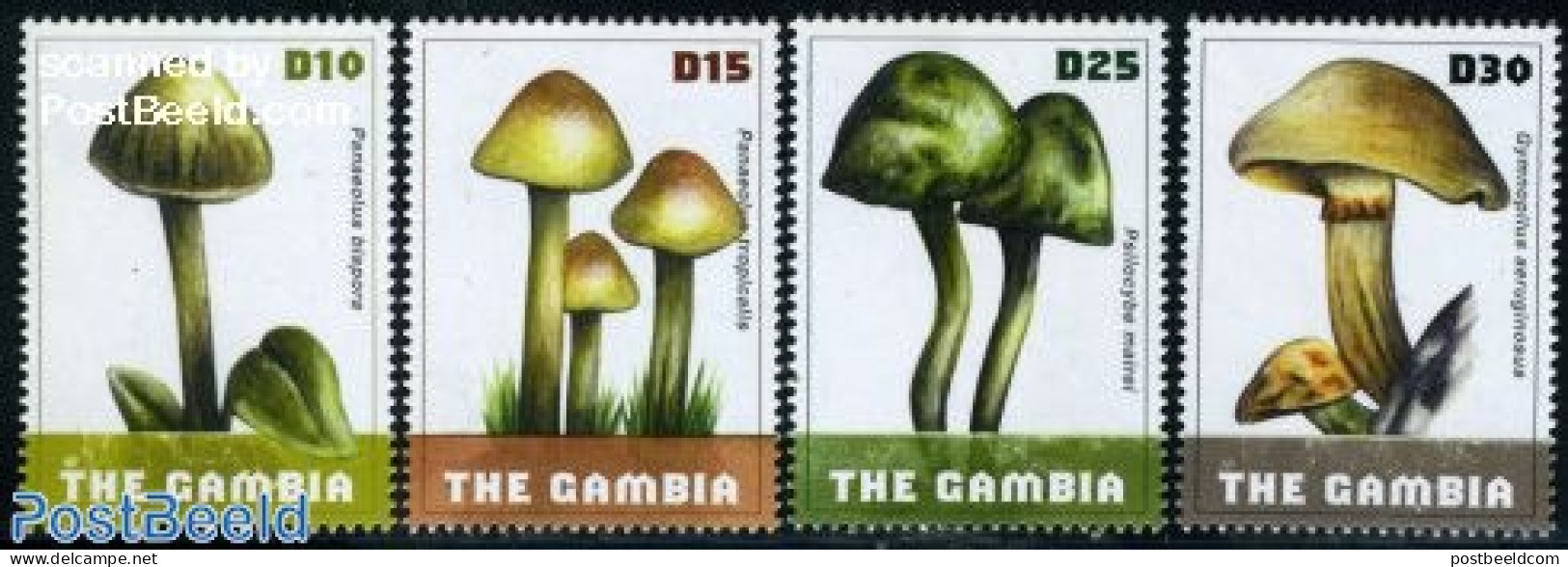 Gambia 2009 Mushrooms 4v, Mint NH, Nature - Mushrooms - Champignons