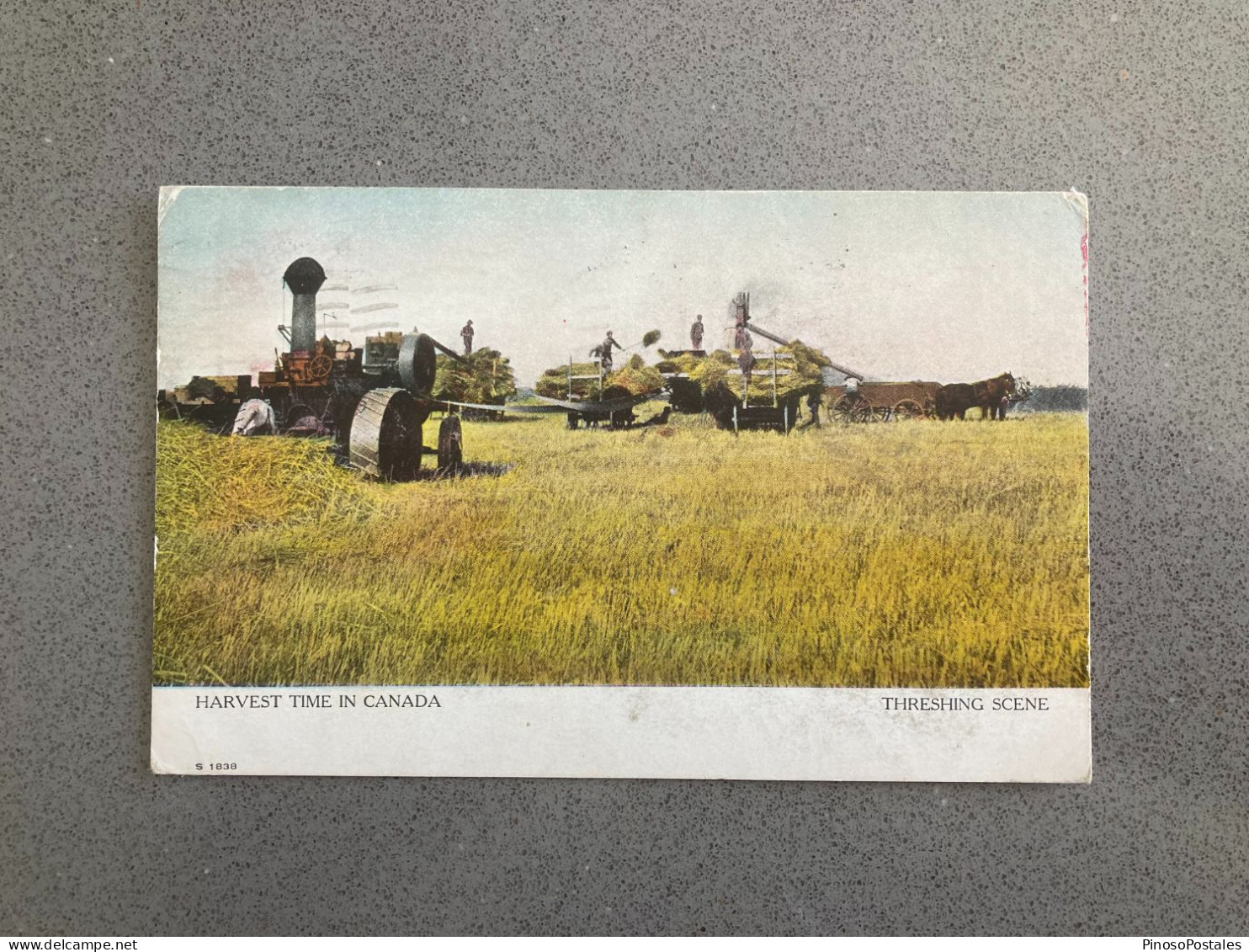 Threshing Scene Harvest Time In Canada Carte Postale Postcard - Tractors