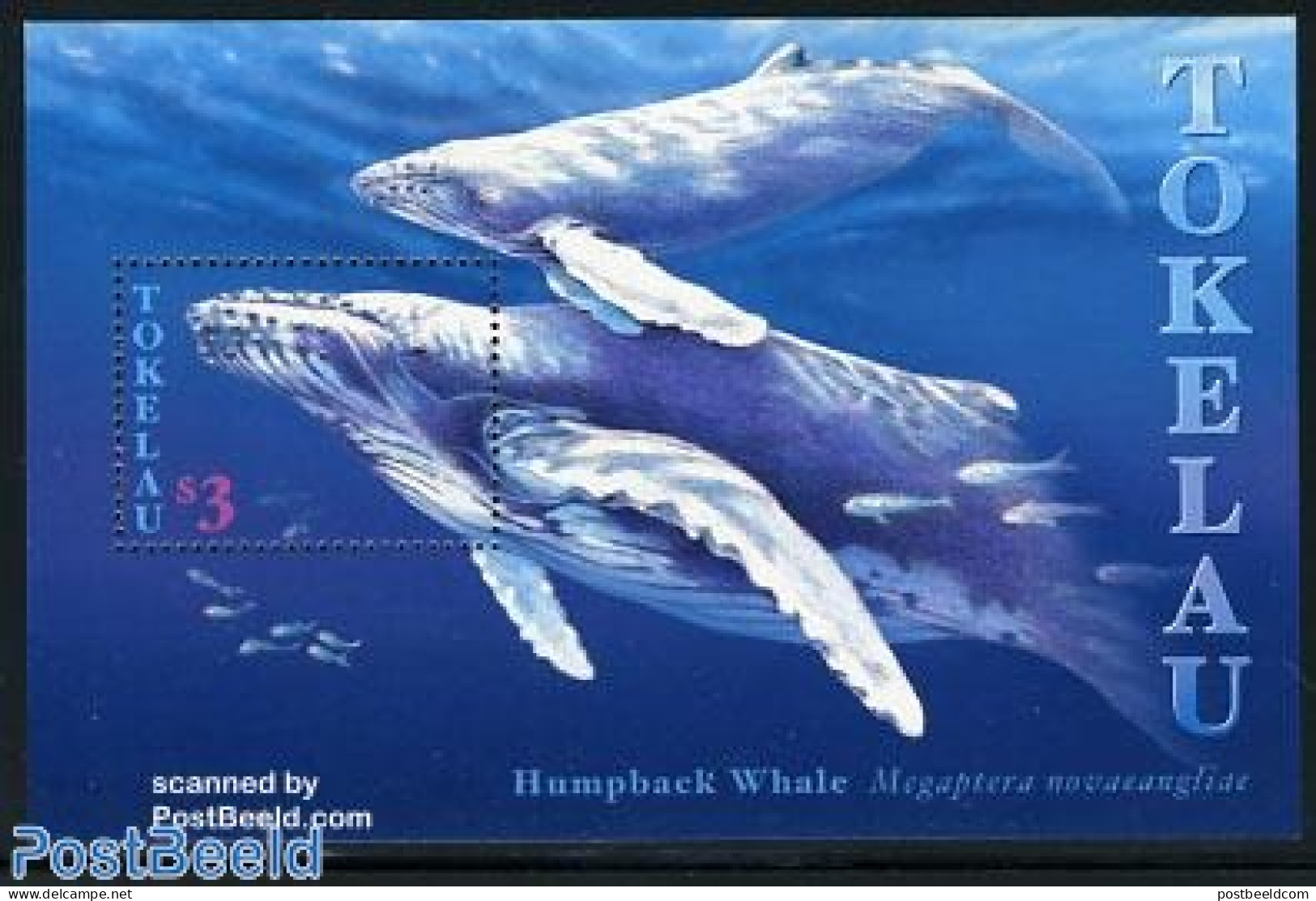 Tokelau Islands 1997 Humpback Whale S/s, Mint NH, Nature - Sea Mammals - Tokelau