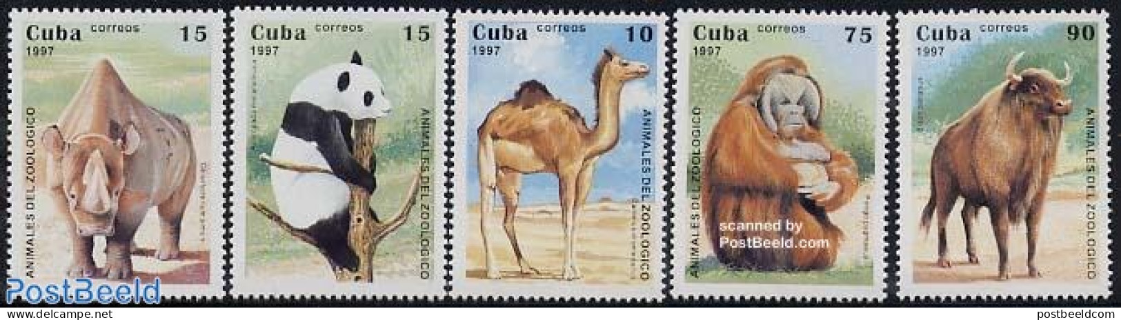 Cuba 1997 Animals In Zoo 5v, Mint NH, Nature - Animals (others & Mixed) - Camels - Monkeys - Rhinoceros - Pandas - Ongebruikt