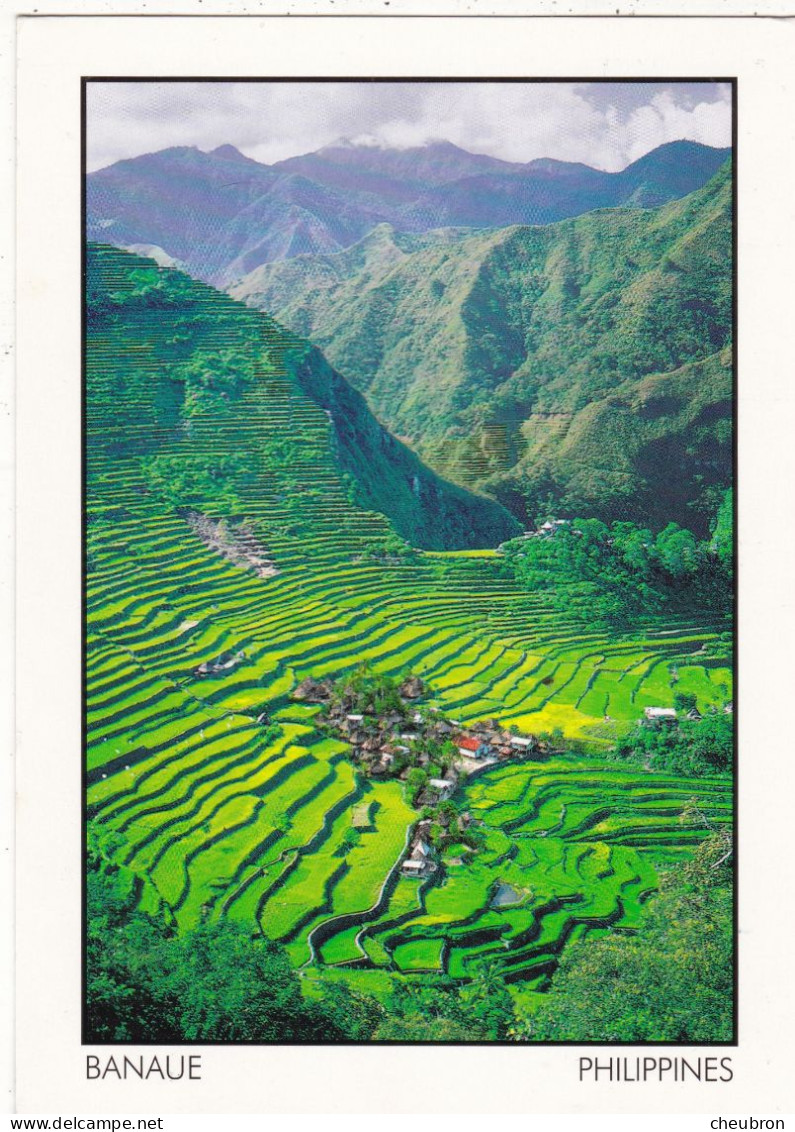 PHILIPPINES. MANILLE (ENVOYE DE). BANAUE ." BATAD VILLAGE.. RICE TERRASSES " . RÉCEPTION. ANNEE 2003+ TEXTE+ TIMBRES. - Filipinas