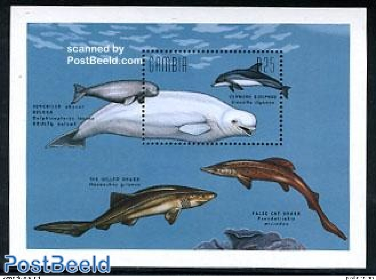 Gambia 1995 Sea Mammals S/s, Mint NH, Nature - Sea Mammals - Gambia (...-1964)