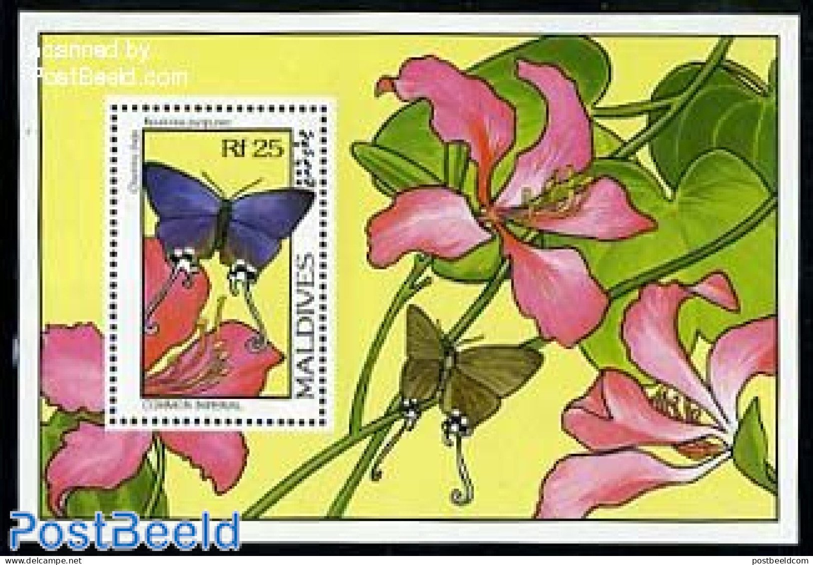 Maldives 1993 Butterflies & Flowers S/s, Cheritra Freja, Mint NH, Nature - Butterflies - Flowers & Plants - Malediven (1965-...)