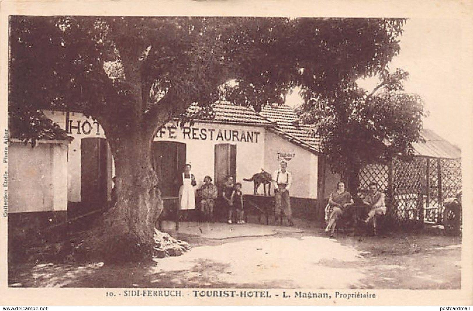 Algérie - SIDI FERRUCH - Tourist Hôtel, L. Magnan Propriétaire - Ed. EPA 10 - Sonstige & Ohne Zuordnung