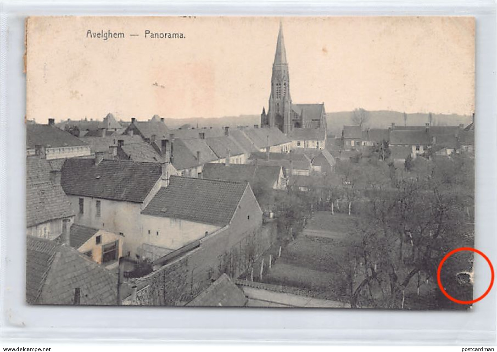 AVELGEM (W. Vl.) Panorama - Avelgem
