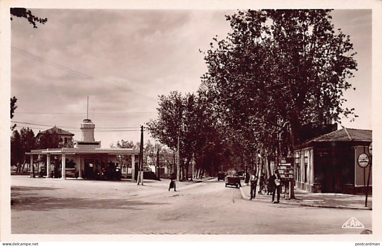 BLIDA - Avenue De La Chiffa - Blida