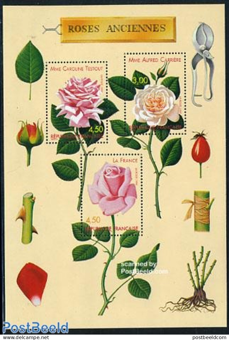 France 1999 Roses S/s, Mint NH, Nature - Flowers & Plants - Roses - Ongebruikt