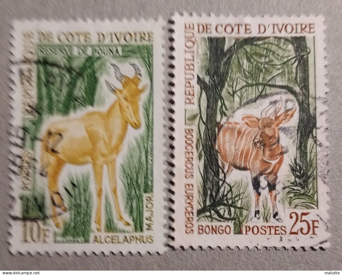 Côte D'ivoire YT 214A Et 216A Oblitérés Animaux - Côte D'Ivoire (1960-...)
