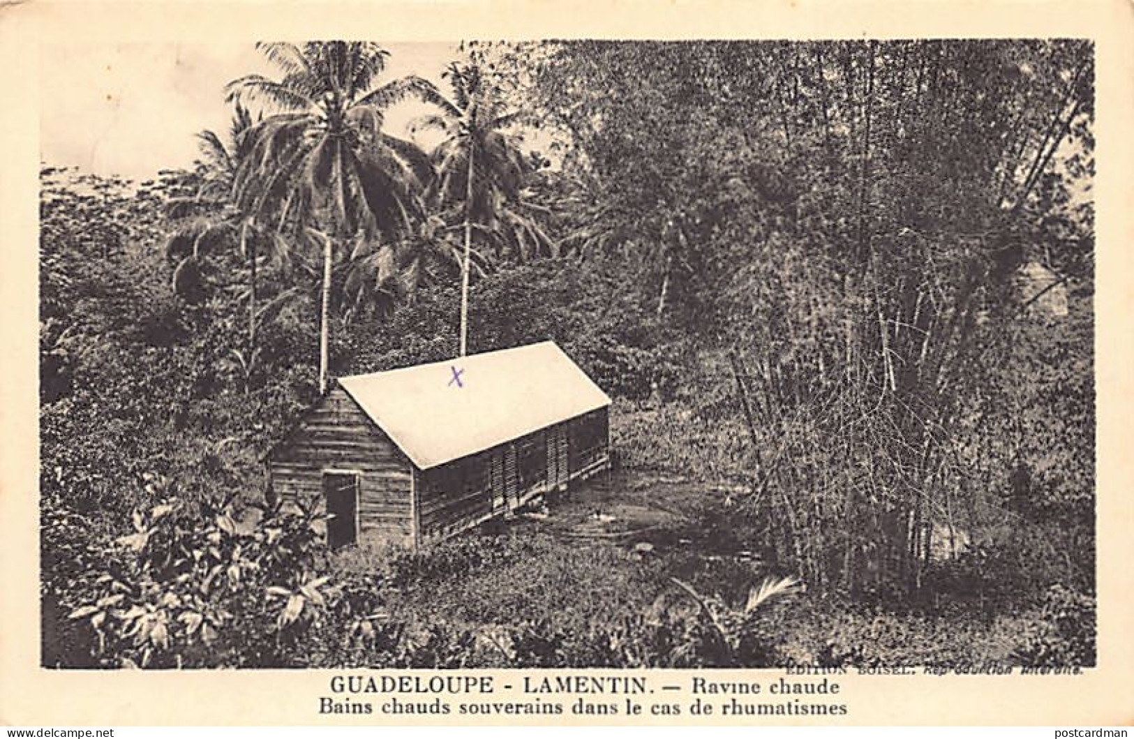 Guadeloupe - LAMENTIN - Ravine Chaude - Ed. Boisel  - Autres & Non Classés
