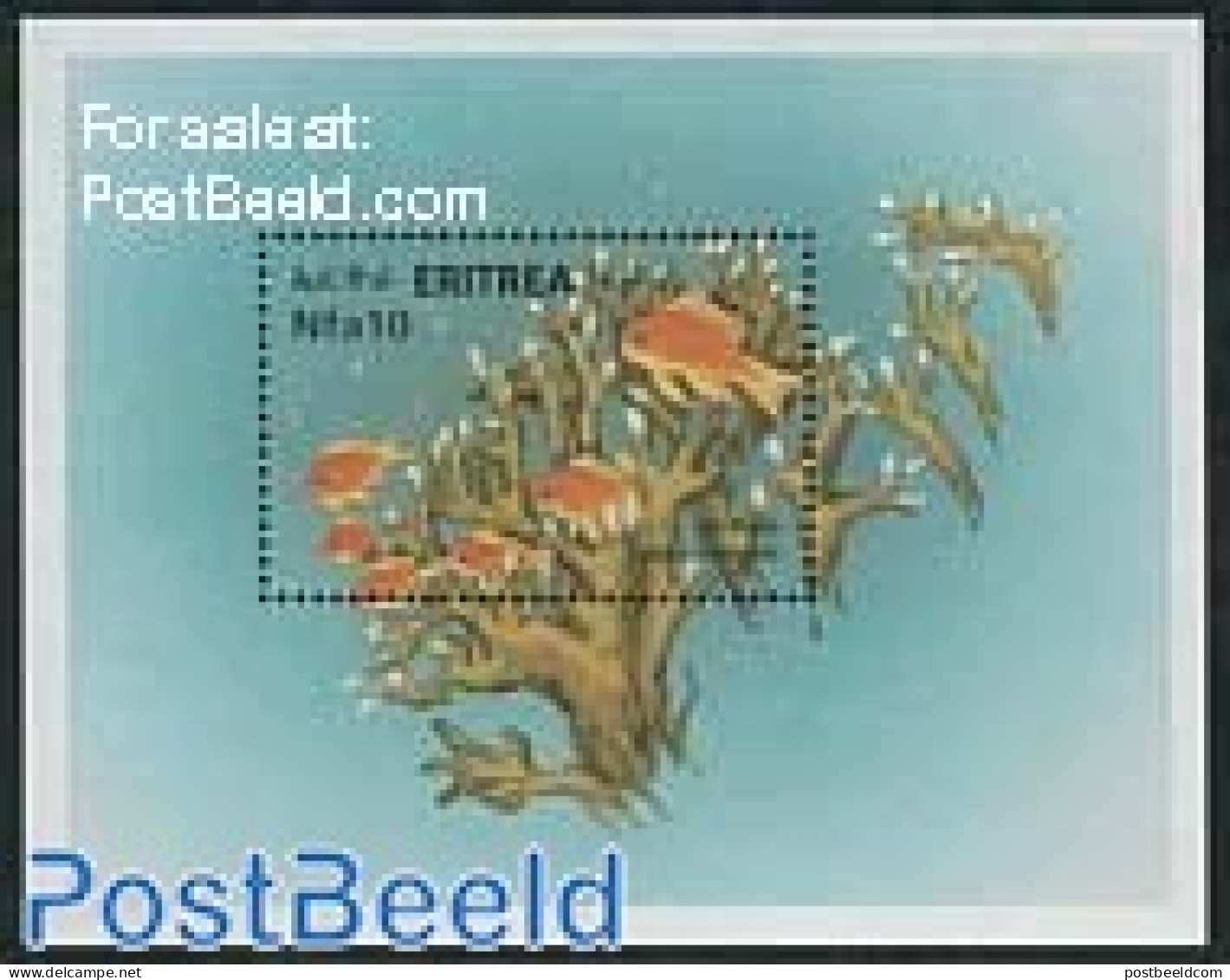 Eritrea 2000 Red Sea Fish S/s, Anthias Squamipinnis, Mint NH, Nature - Fish - Vissen