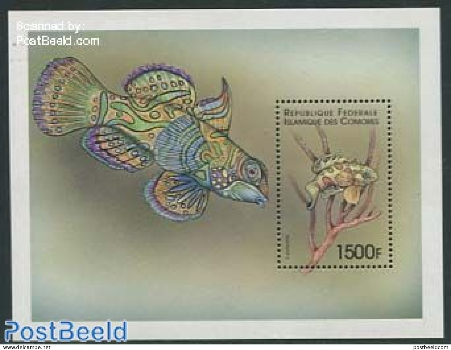 Comoros 1999 Mandarin Fish S/s, Mint NH, Nature - Fish - Poissons