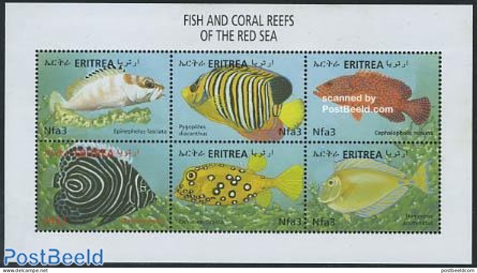 Eritrea 2000 Red Sea Fish 6v M/s, Epinephelus Fasciatus, Mint NH, Nature - Fish - Peces
