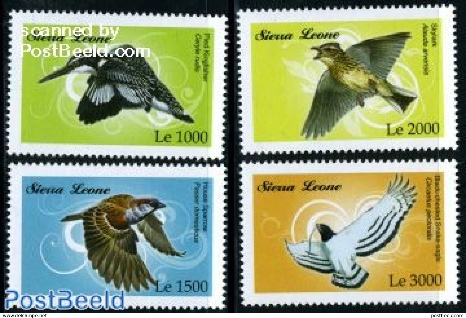 Sierra Leone 2009 Birds 4v, Mint NH, Nature - Birds - Birds Of Prey - Andere & Zonder Classificatie