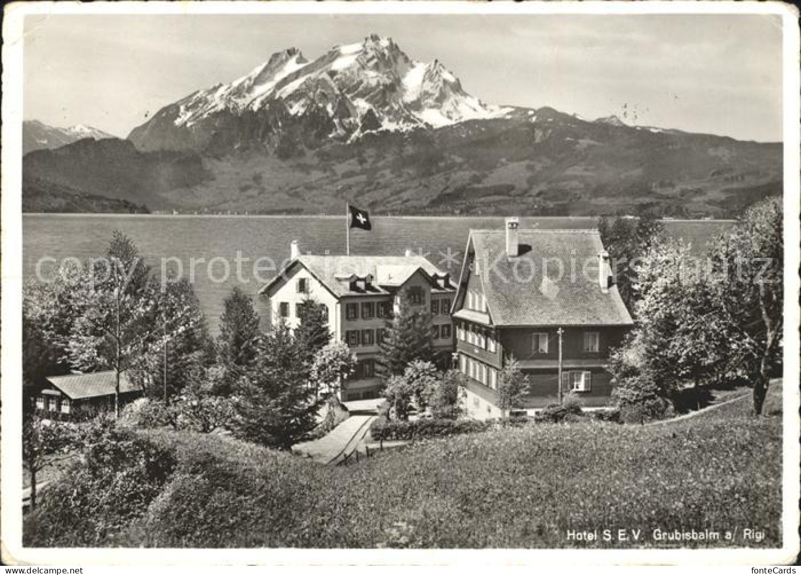11980189 Grubisbalm Hotel SEV Am Vierwaldstaettersee Alpen Vitznau - Sonstige & Ohne Zuordnung