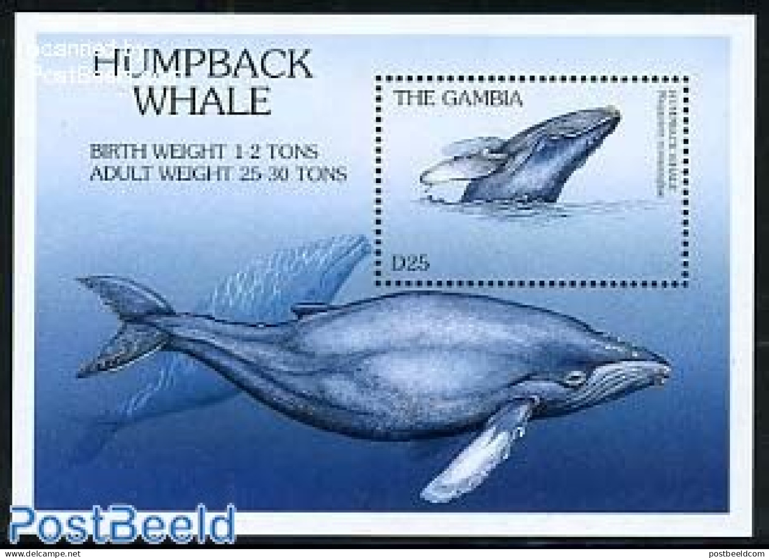 Gambia 1997 Whale S/s, Mint NH, Nature - Animals (others & Mixed) - Sea Mammals - Gambia (...-1964)