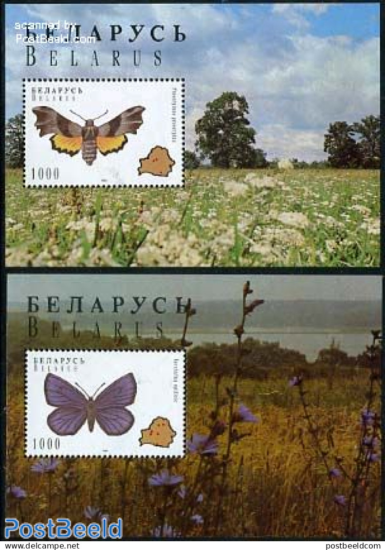 Belarus 1996 Butterflies 2 S/s, Mint NH, Nature - Various - Butterflies - Maps - Geografía